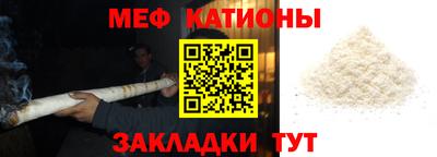 шишки Дубна