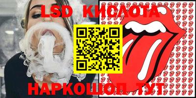 шишки Дубна