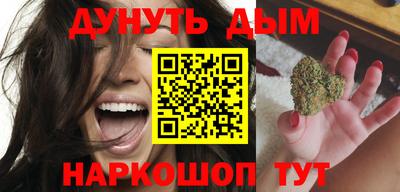 шишки Дубна