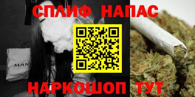 шишки Дубна