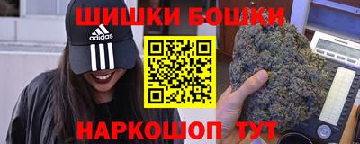 шишки Дубна