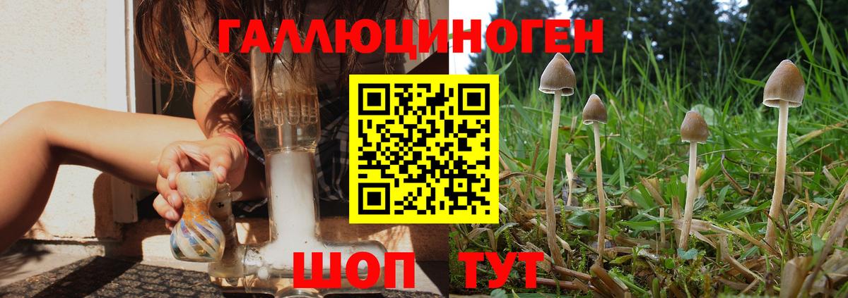Галлюциногенные грибы мицелий Можга